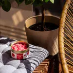 Candlecan - Ripe Strawberry